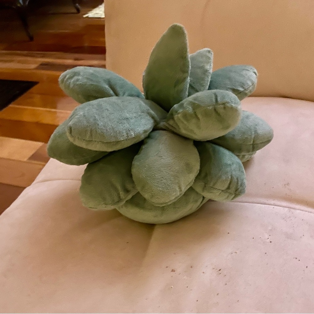 Plush Succulent Pillow